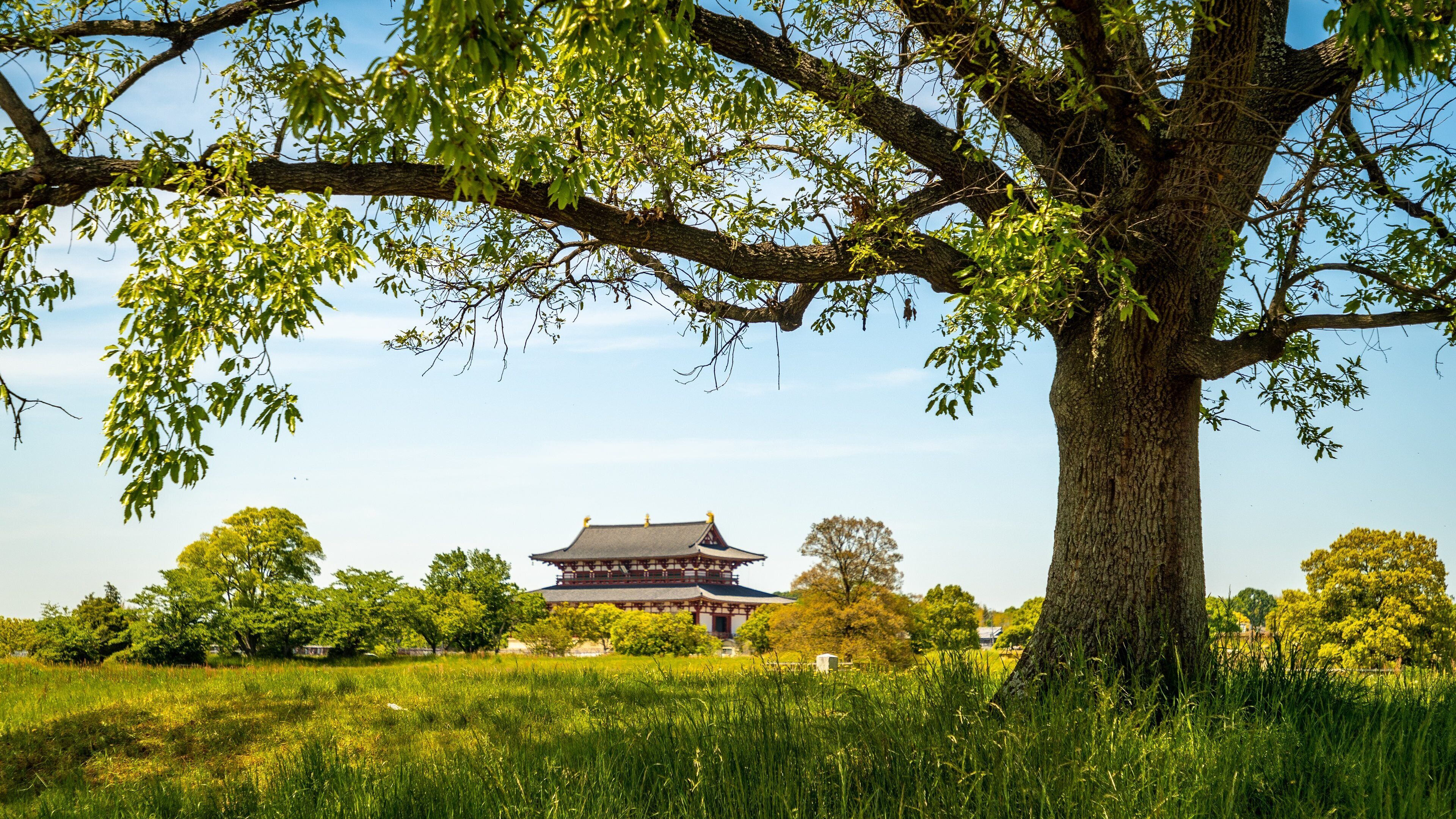 Heijo Palace which includes heritage elements and tranquil scenes
