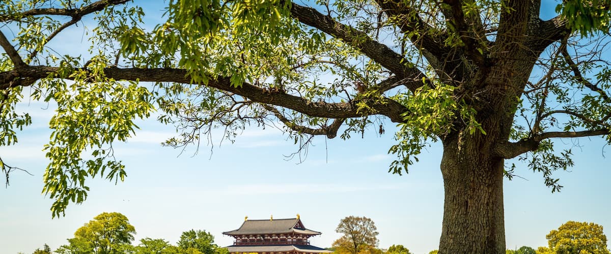 Nara Hotel Guide