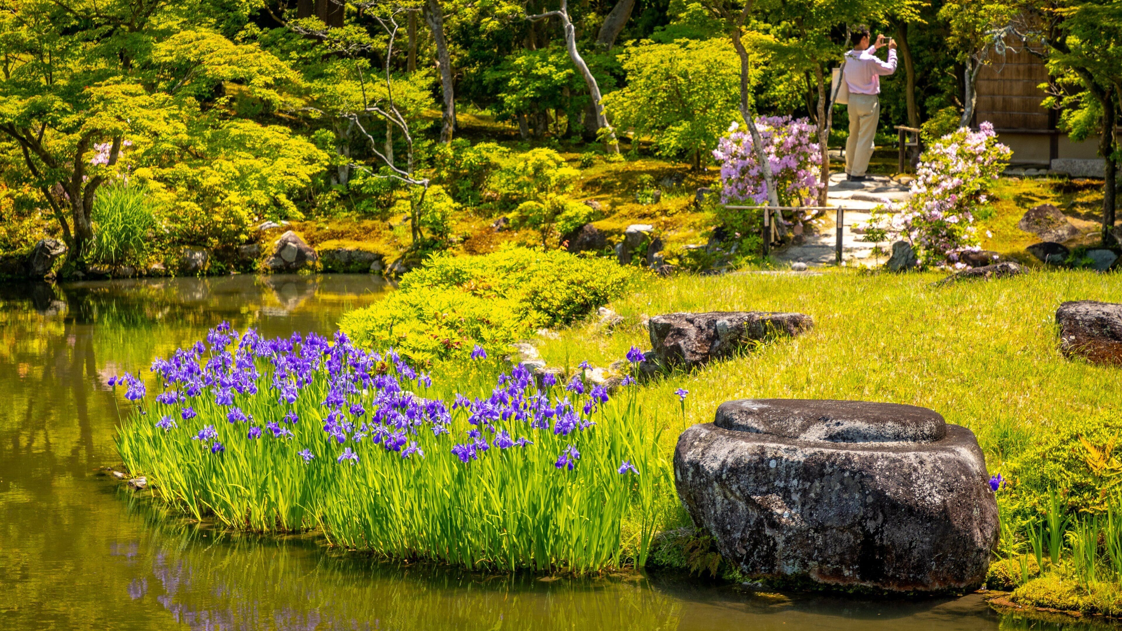 Isui-en Garden showing a pond and wildflowers