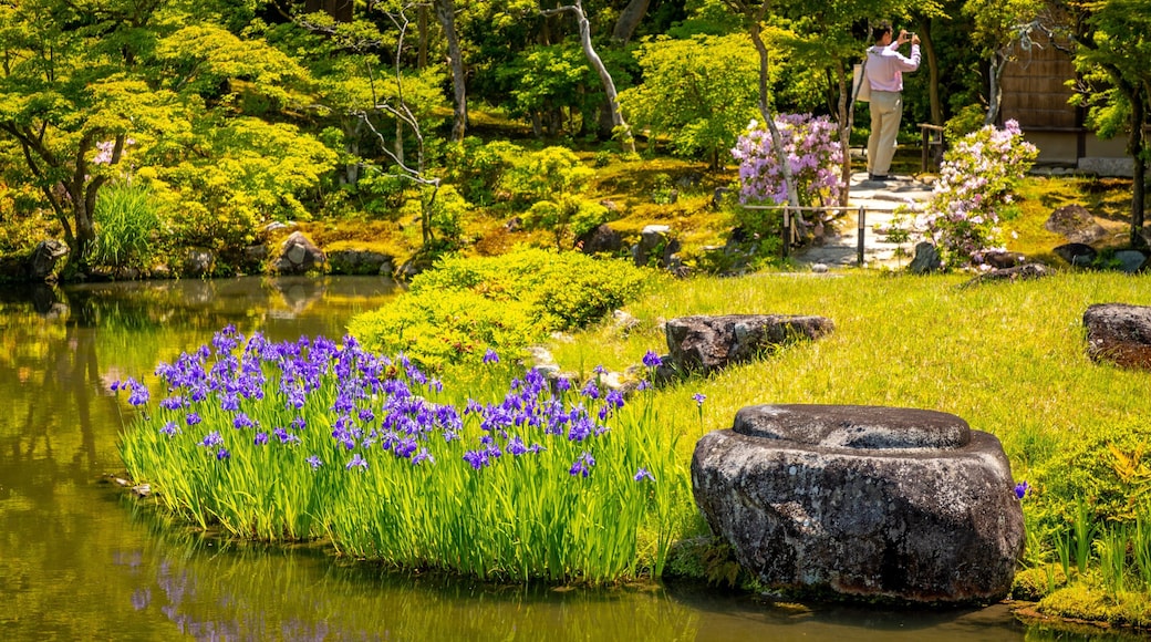 Isui-en Garden showing a pond and wildflowers