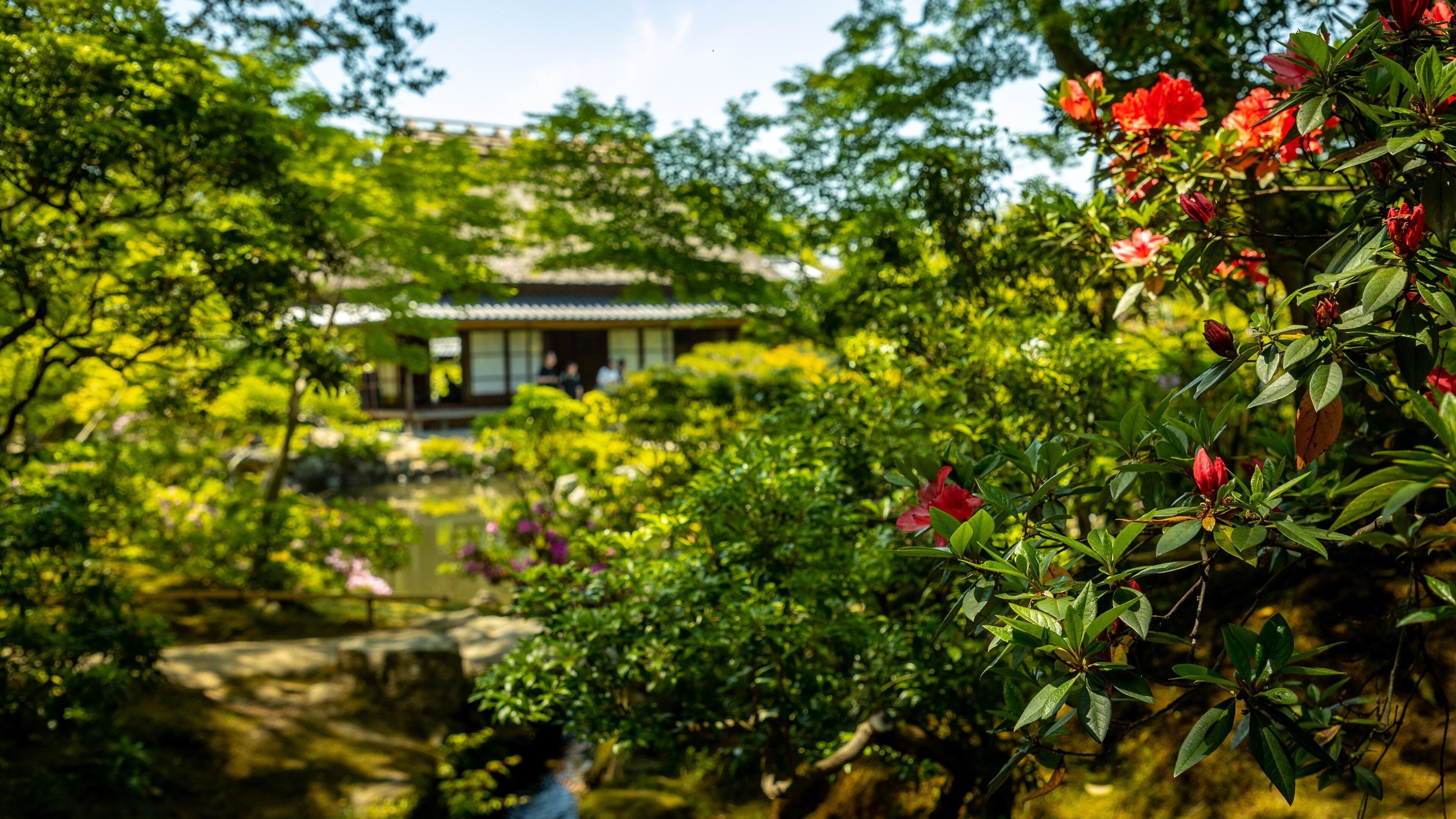 Isui-en Garden showing wildflowers