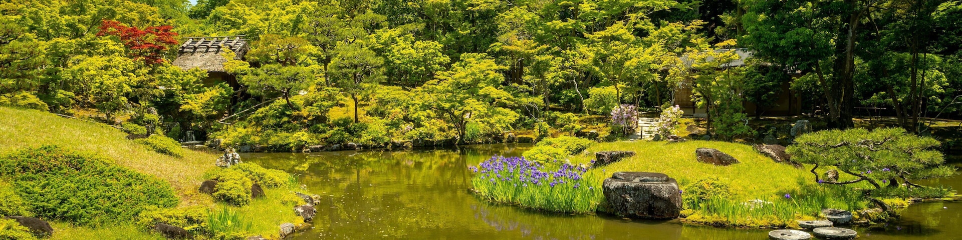 Isui-en Garden which includes a pond and a garden