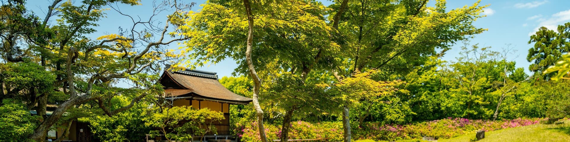 Isui-en Garden featuring a park, wildflowers and a pond