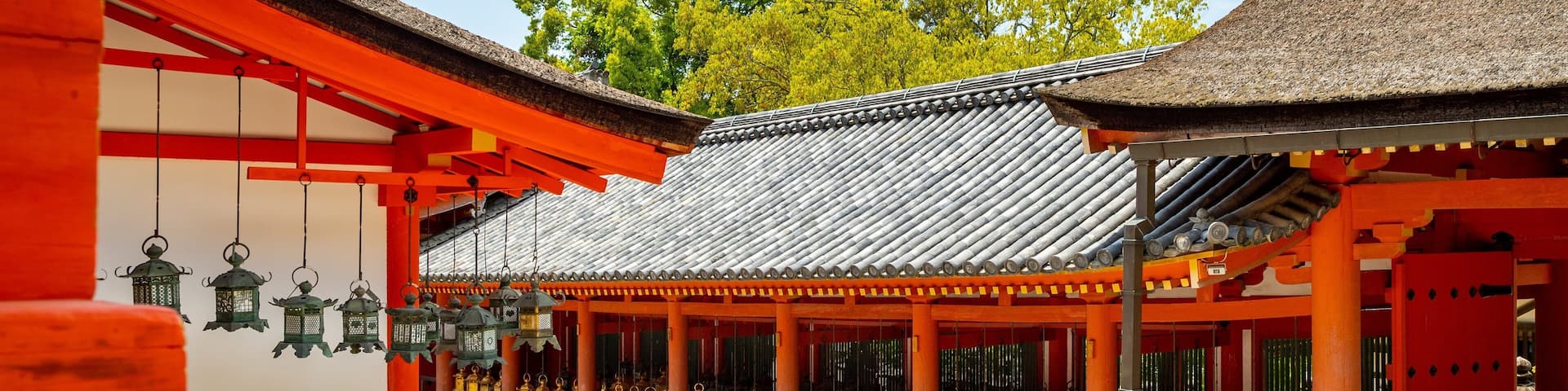 Un temple japonais traditionnel, avec ses portails torii rouges et ses lanternes.