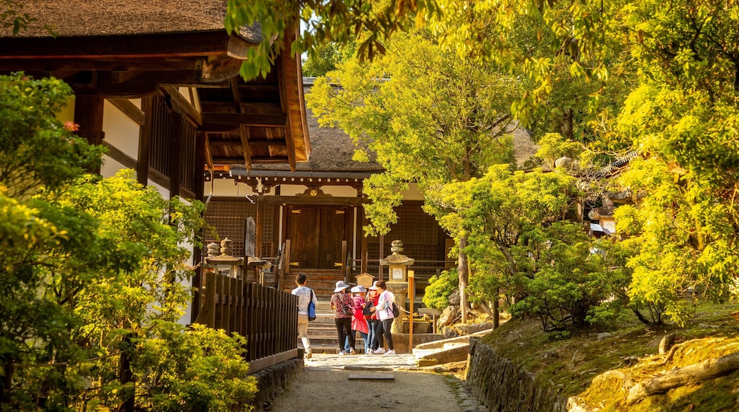 Kasuga Shrine showing a temple or place of worship as well as a small group of people