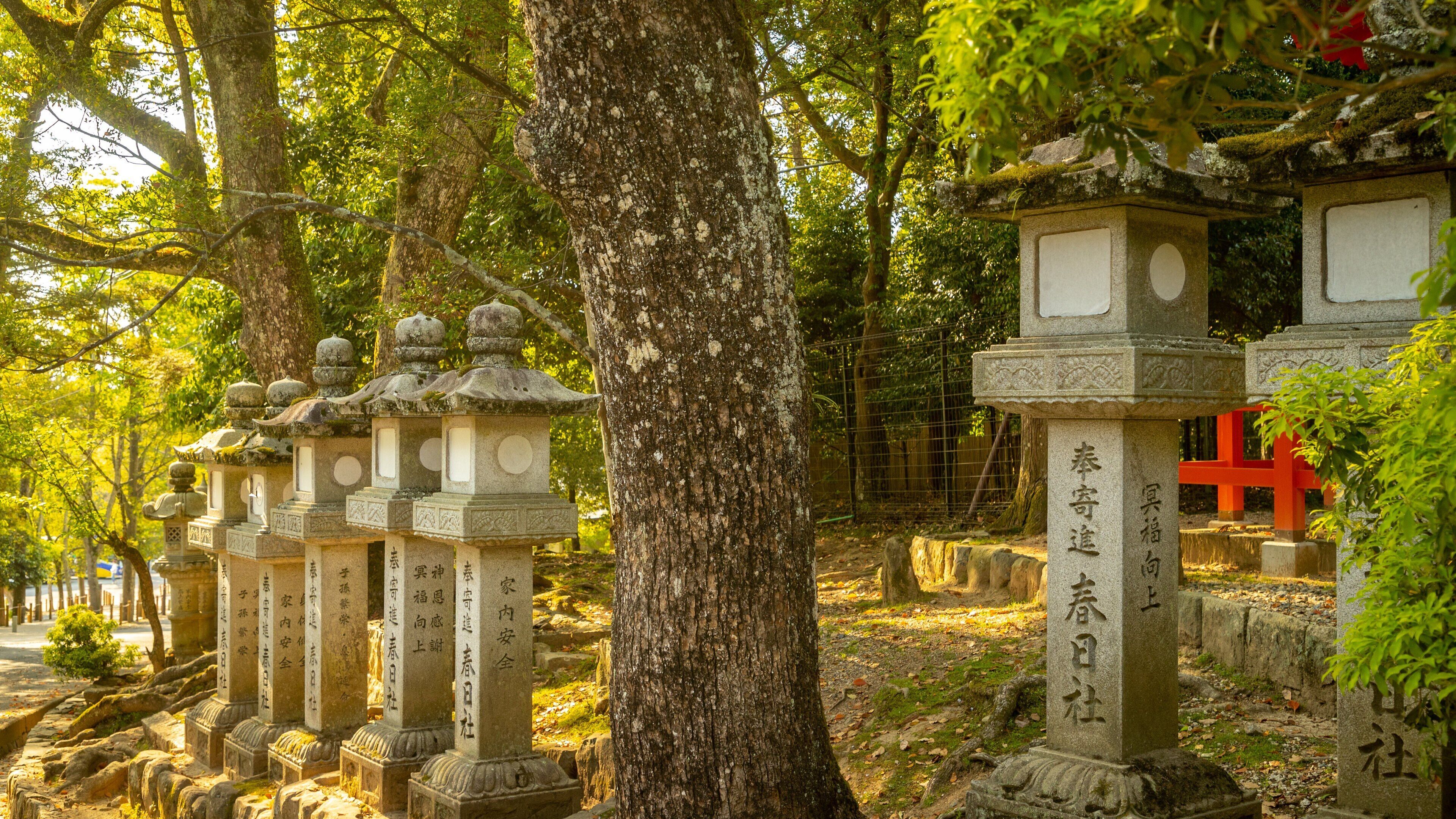 Kasuga Shrine showing heritage elements and a park