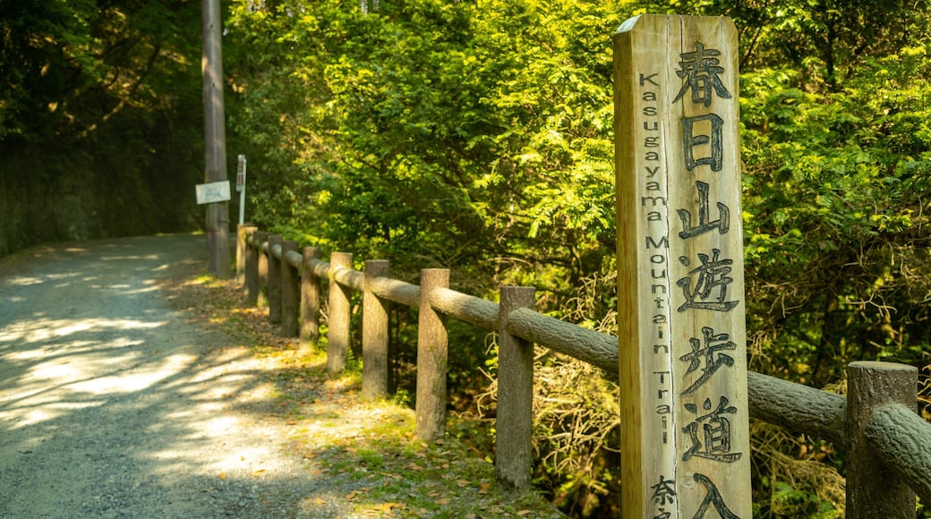 Kasugayama Hill Primeval Forest which includes a park, signage and forest scenes