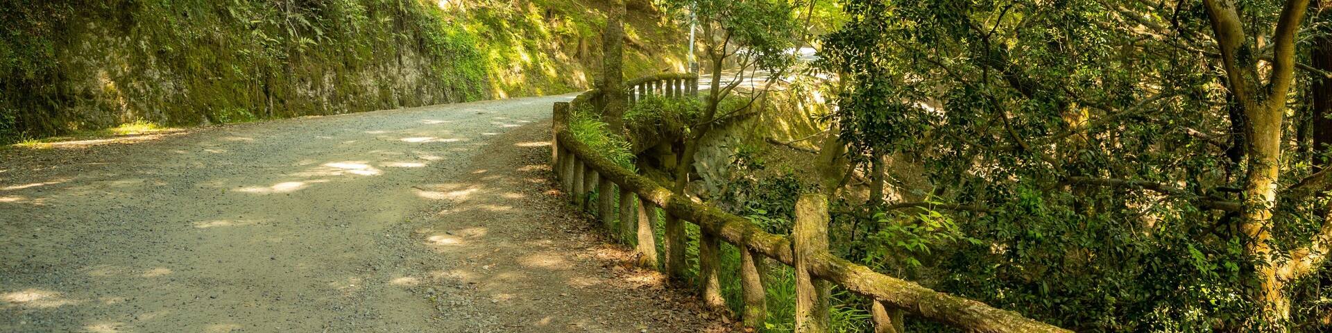 Kasugayama Hill Primeval Forest showing forests and a garden