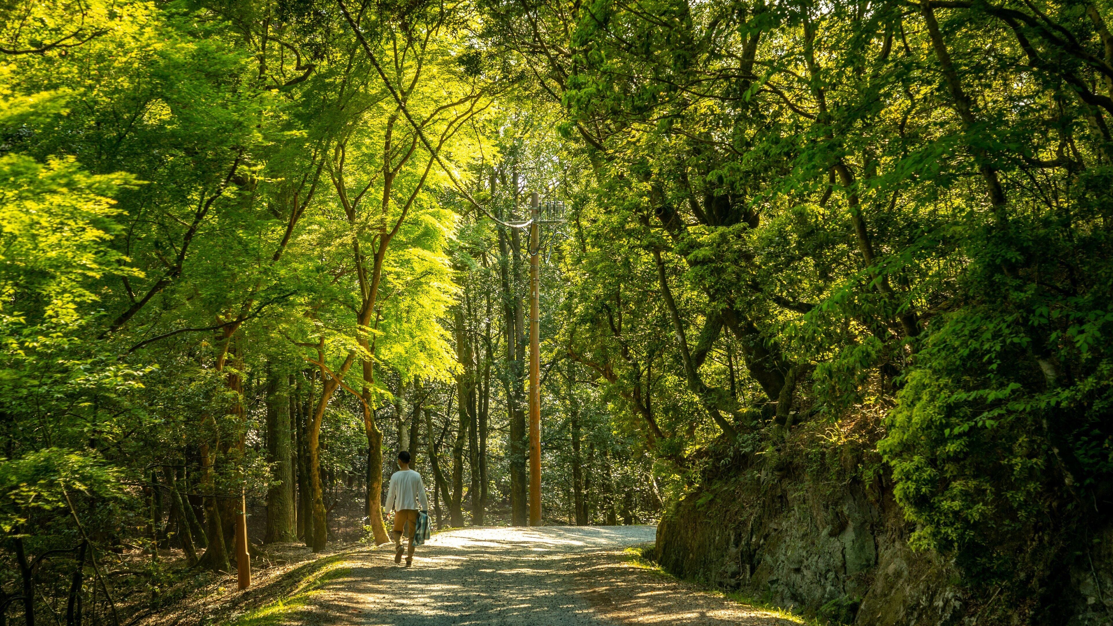 Kasugayama Hill Primeval Forest showing a garden as well as an individual male