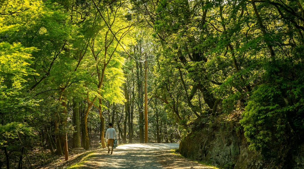 Kasugayama Hill Primeval Forest showing a garden as well as an individual male