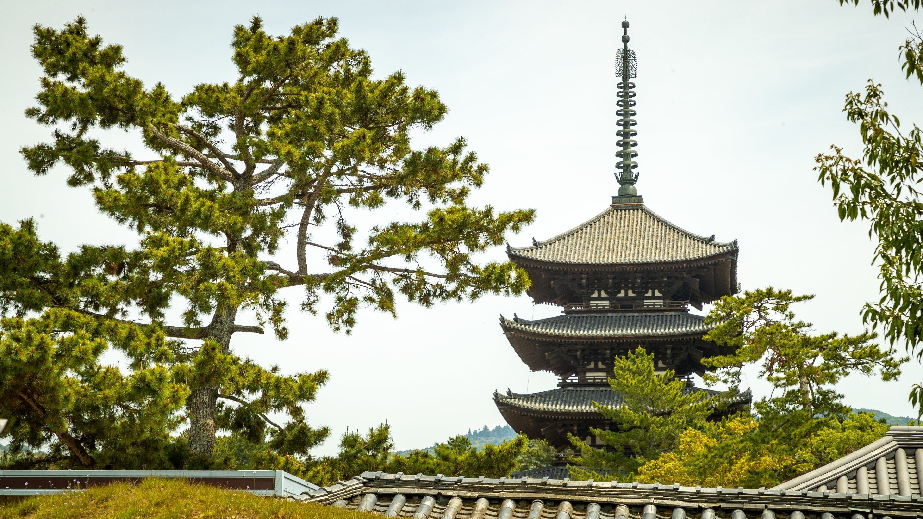Kofuku-ji Shrine which includes heritage architecture and a temple or place of worship