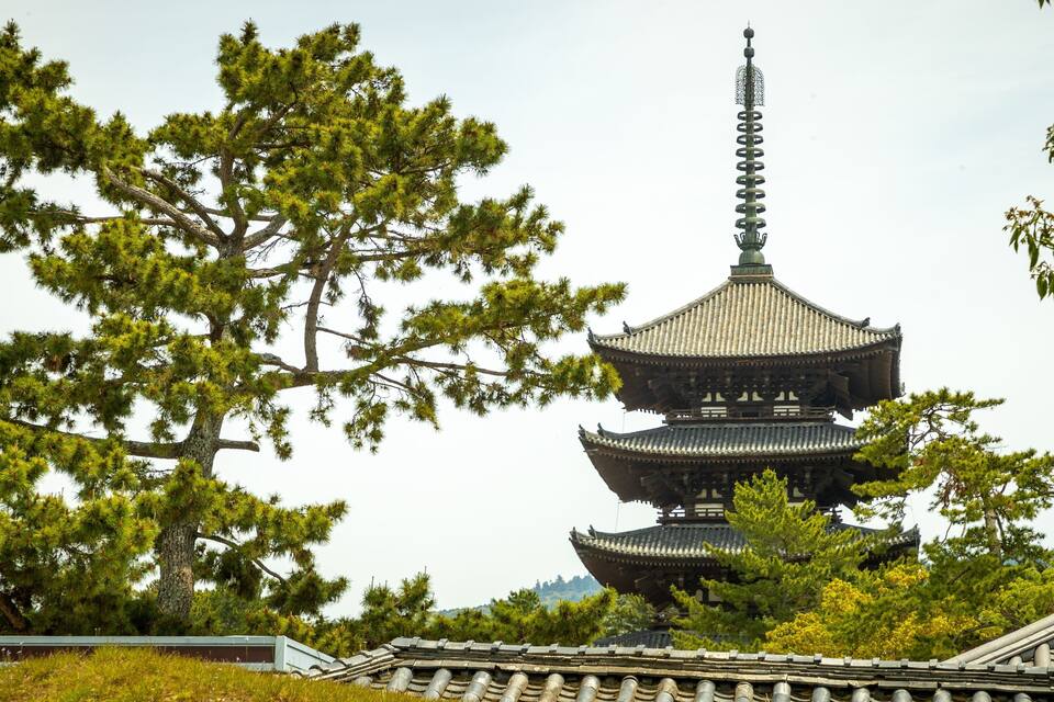 A traditional Japanese pagoda surrounded by lush greenery.