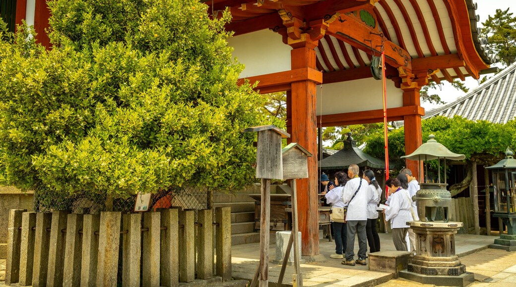Kofuku-ji Shrine featuring a temple or place of worship, religious elements and heritage elements