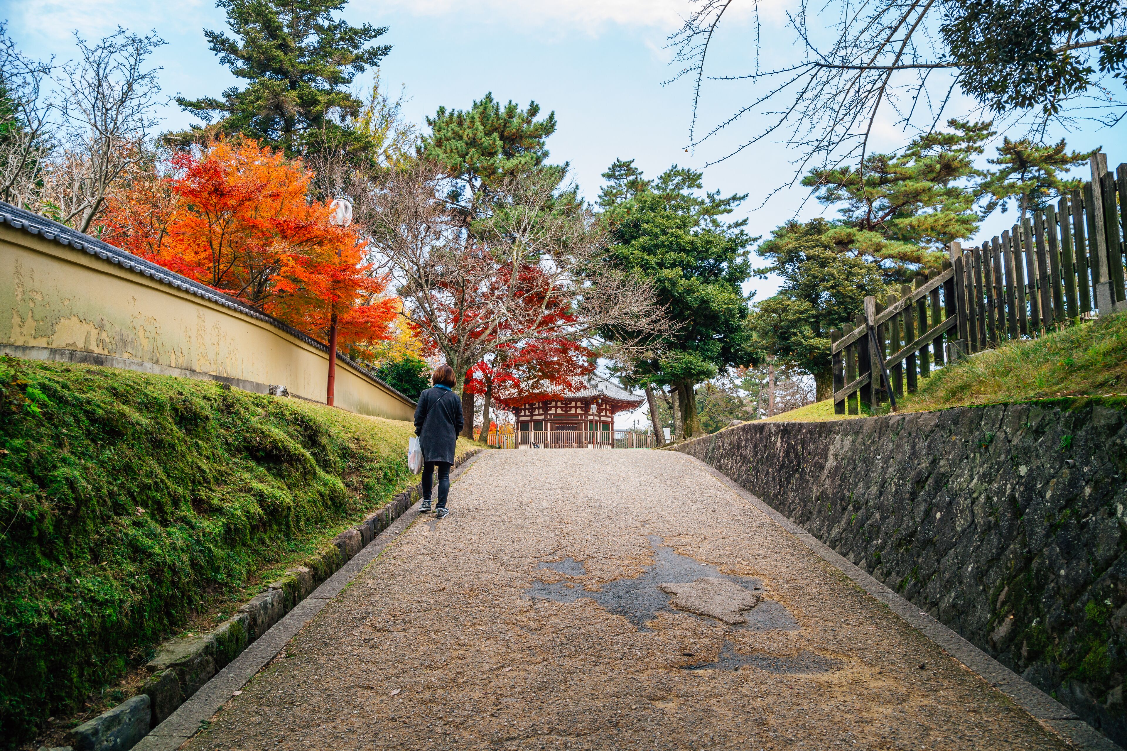 Kofukuji temple Hokuendo with autumn maple in Nara, Japan, Shutterstock ID 1101361817, Purchase Order: SP-1506 Go Guides, Order Number: , Client/Licensee: Faa Praharnpap, Other: Hcom budget