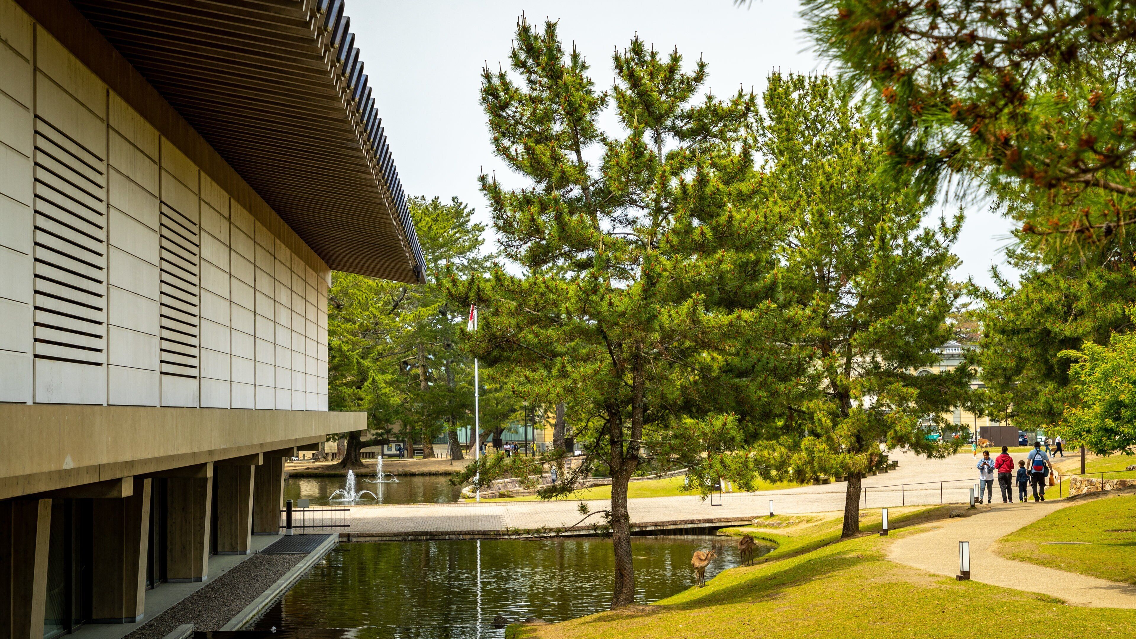 Nara National Museum showing a garden and a pond