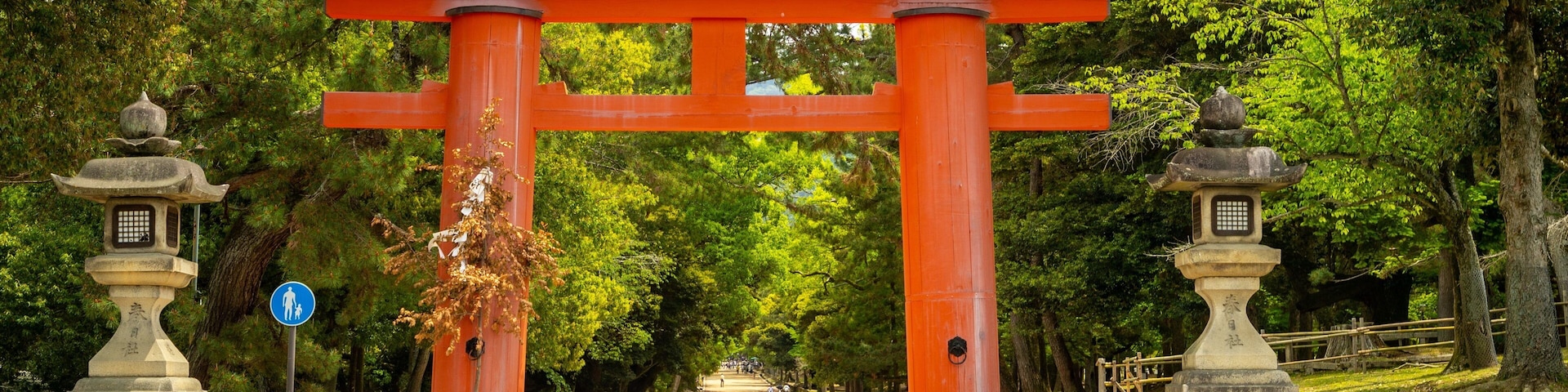 Nara Park which includes a park and heritage elements