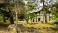 A traditional Japanese building surrounded by trees and a small pond.