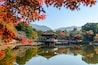 Nara-parken