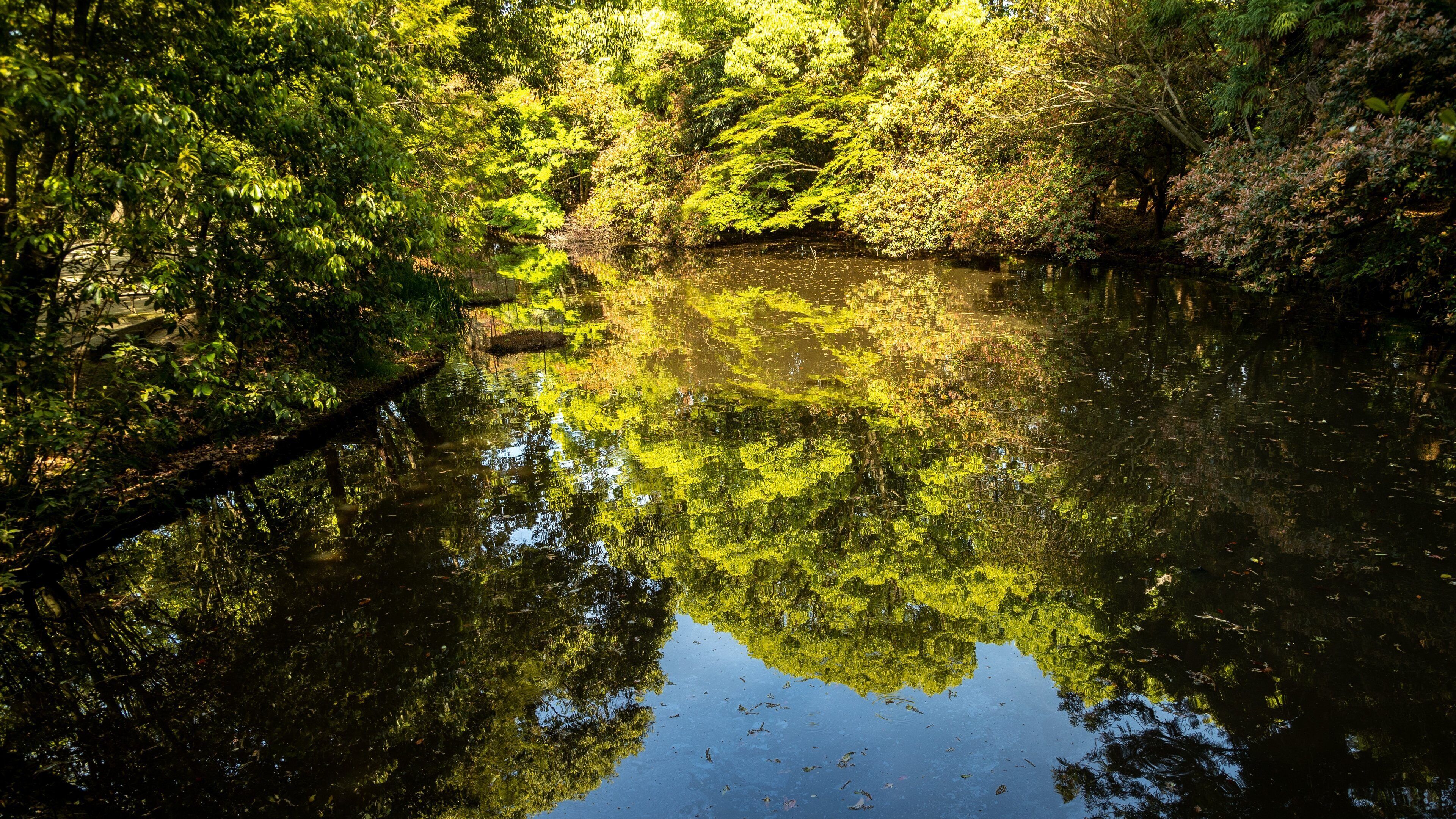 Toshodai-ji Temple featuring a pond