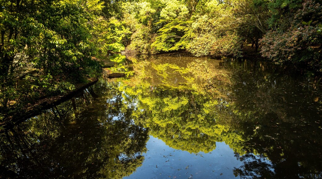 Toshodai-ji Temple featuring a pond