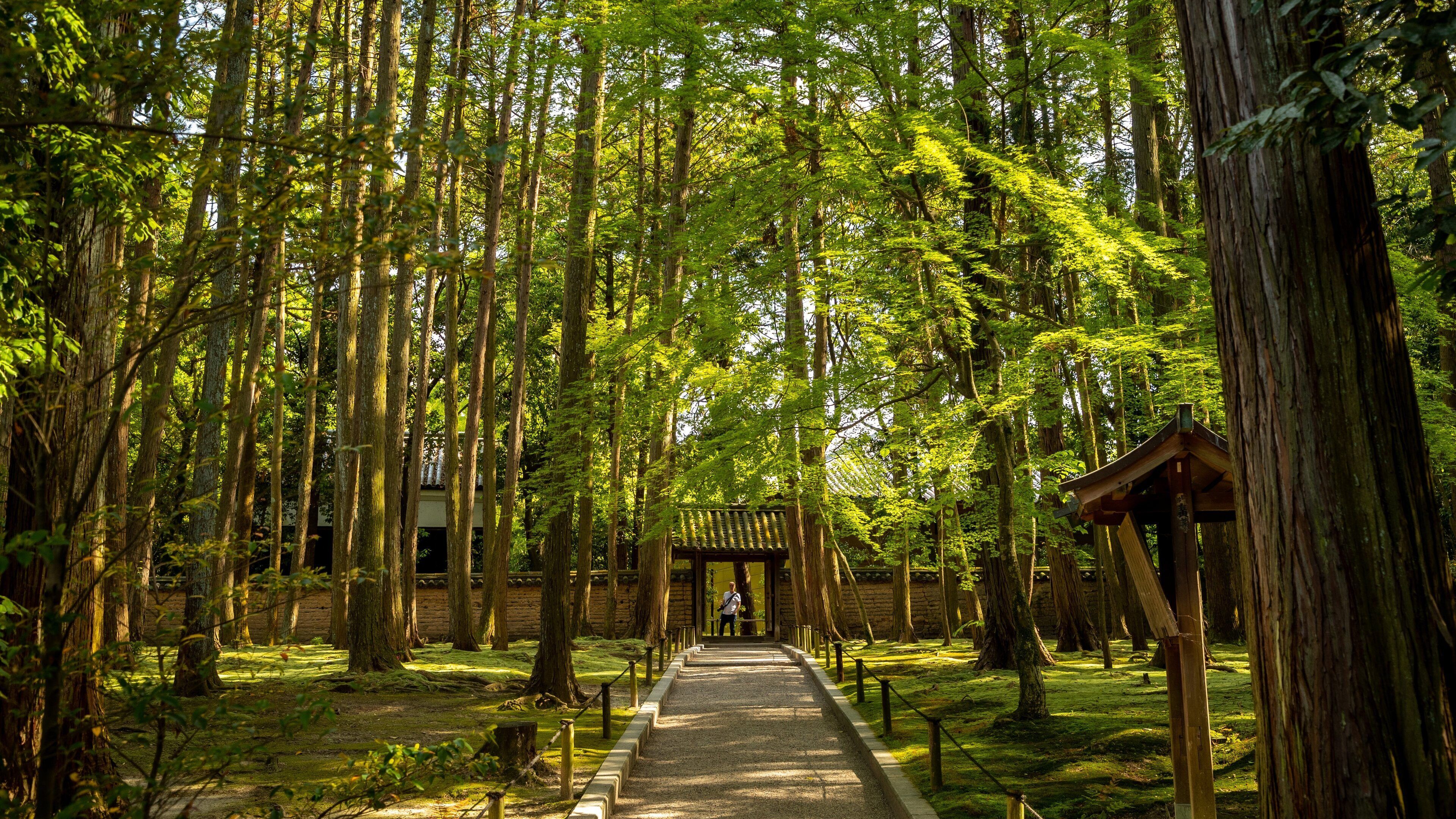 Toshodai-ji Temple which includes a garden