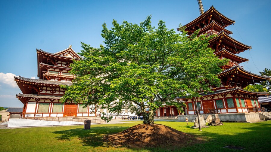 Yakushi-ji Temple which includes heritage elements, a temple or place of worship and a park