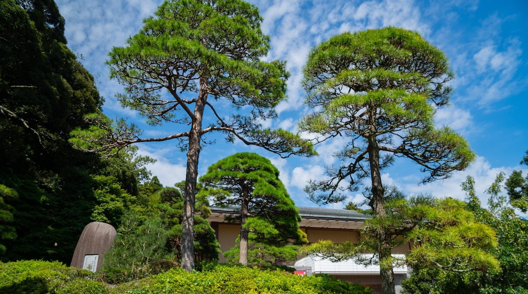 Naritasan Park which includes a garden