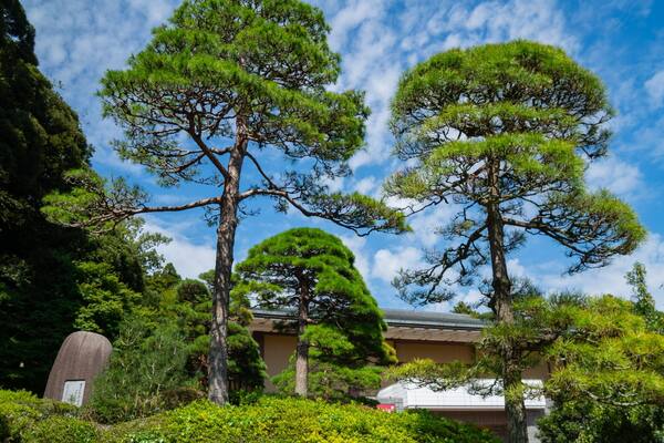 Naritasan Park which includes a garden