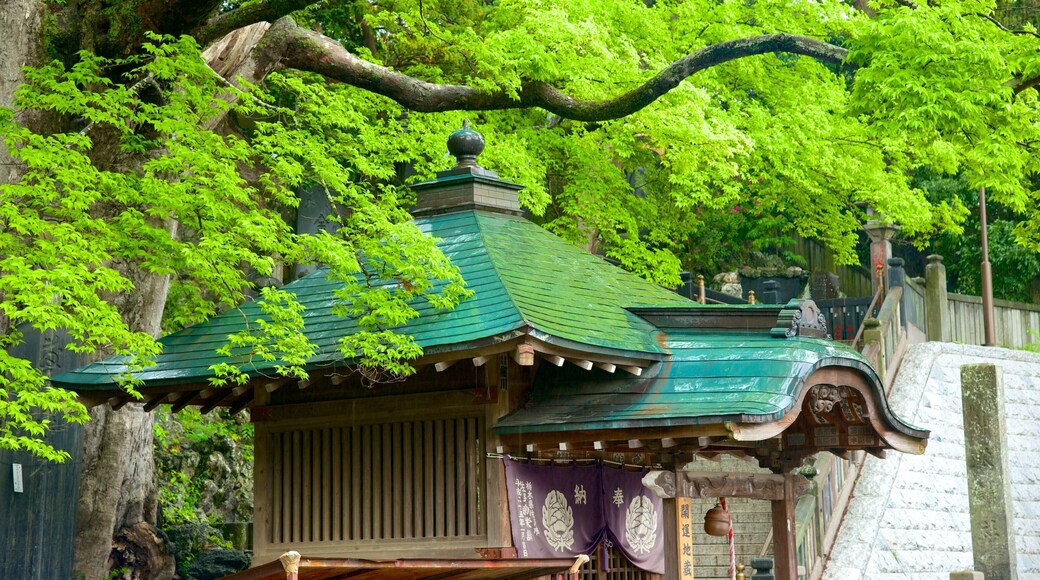 Naritasan Shinshoji Temple which includes a temple or place of worship and religious aspects