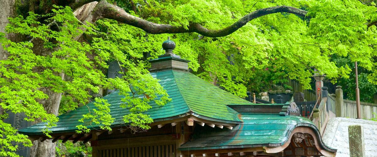 成田山新勝寺 表示 宗教名所 と 寺院あるいは礼拝所