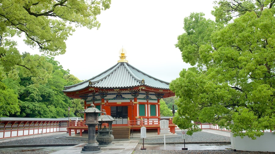 Templo de Naritasan Shinshoji que inclui uma praça ou plaza, aspectos religiosos e um templo ou local de adoração