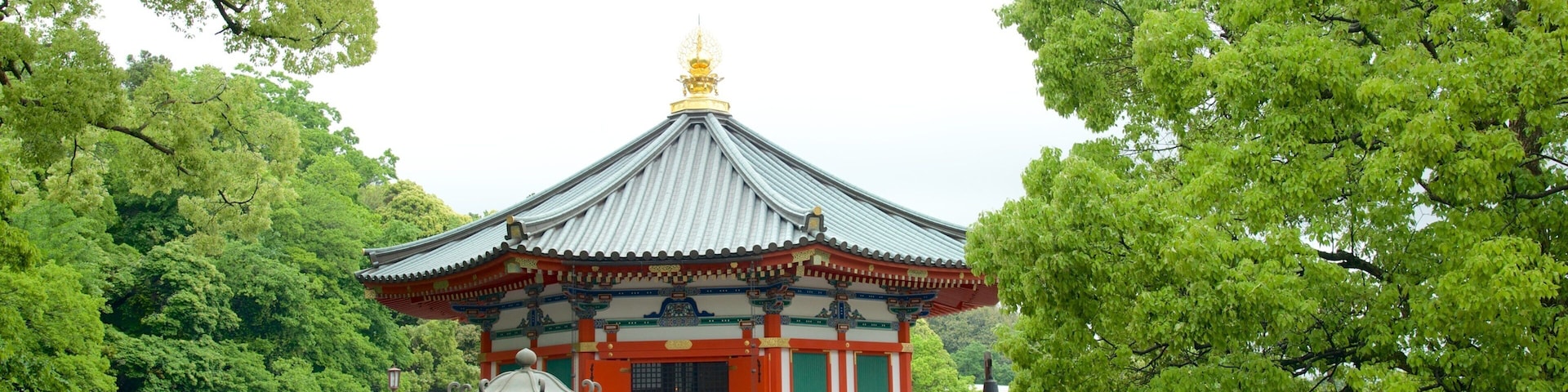 Naritasan Shinshoji Temple showing a temple or place of worship, religious elements and a square or plaza