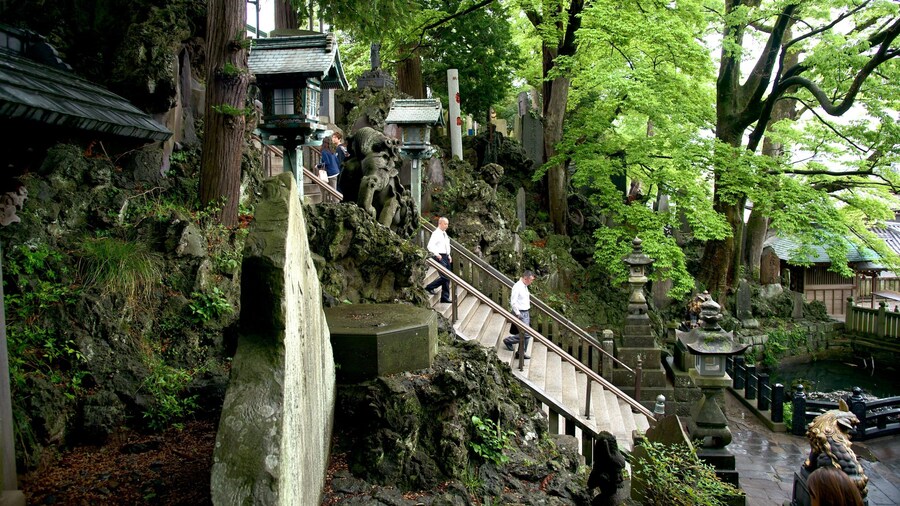 Naritasan Shinshoji Temple featuring religious elements, a temple or place of worship and a garden
