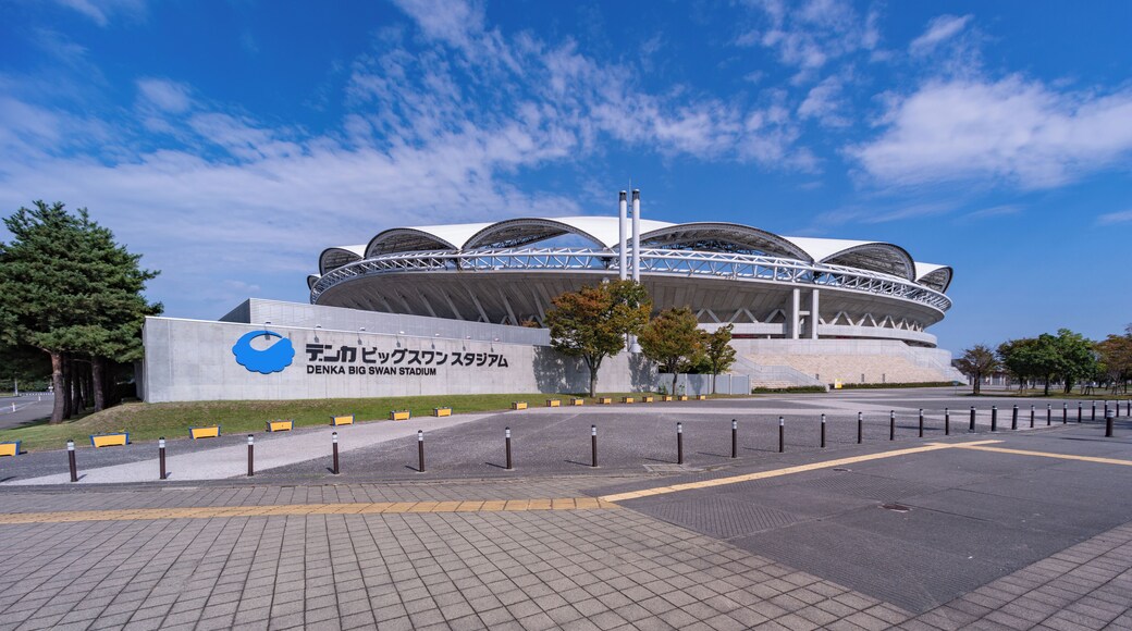 Estadi Denka Big Swan