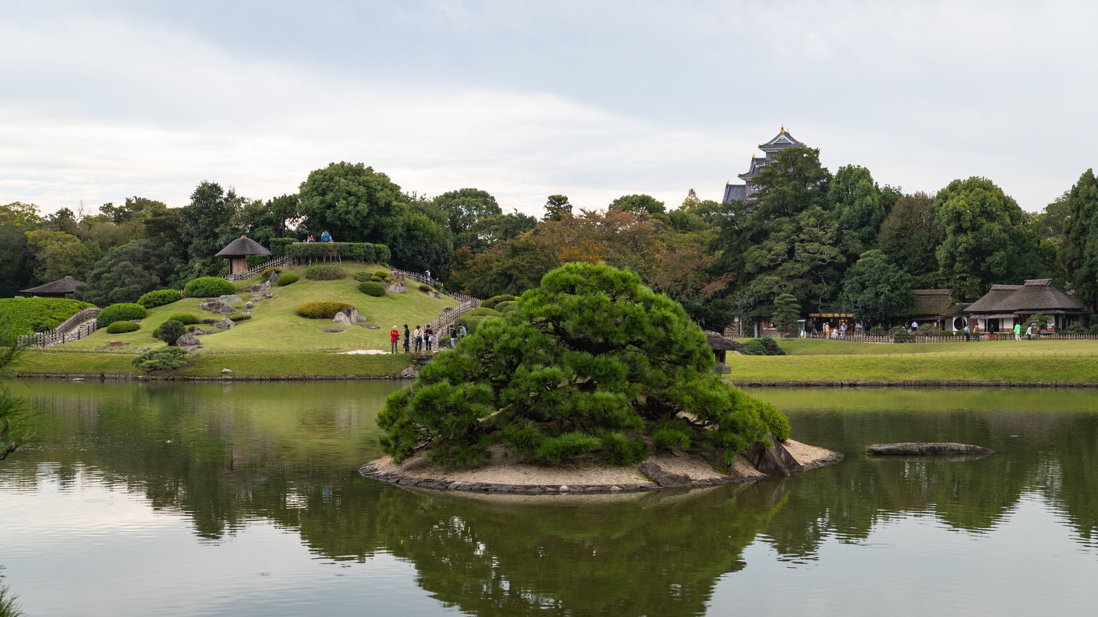 A serene pond with a prominent pine tree in the center, surrounded by well-manicured grass and trees. In the background, there is a traditional Japanese-style building with a tiled roof.