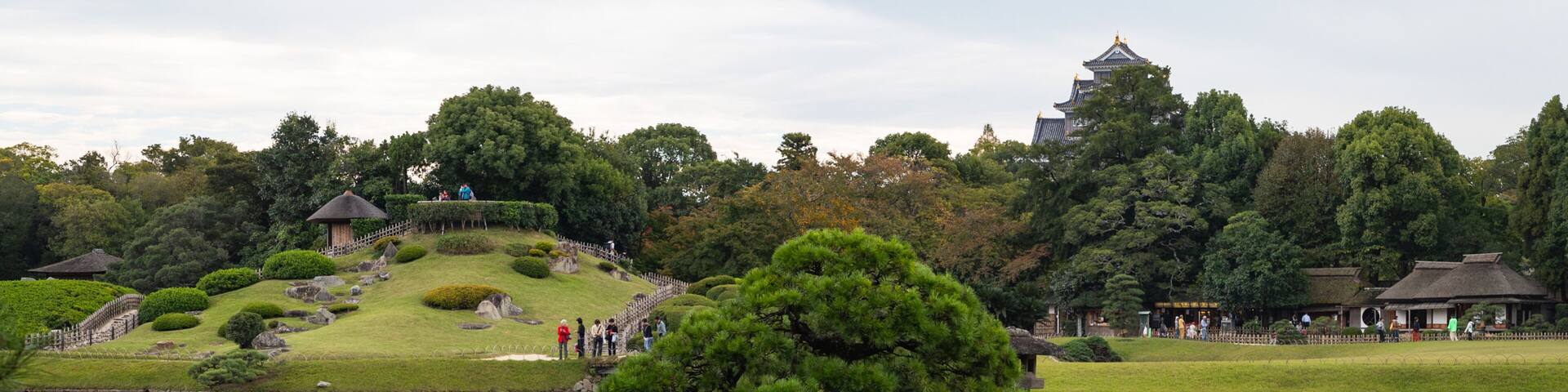 Un estanque tranquilo con un pino destacado en el centro, rodeado de césped cuidado y árboles. En el fondo, se observa un edificio de estilo japonés tradicional con techo de tejas.