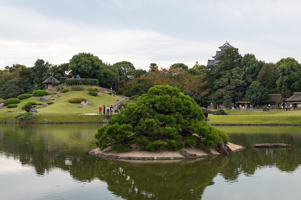 A serene pond with a prominent pine tree in the center, surrounded by well-manicured grass and trees. In the background, there is a traditional Japanese-style building with a tiled roof.