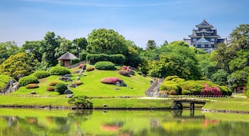 Kita-ku