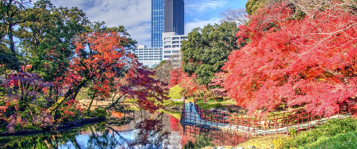 Autumn Colors in Koishikawa Korakuen Garden, Tokyo, Japan