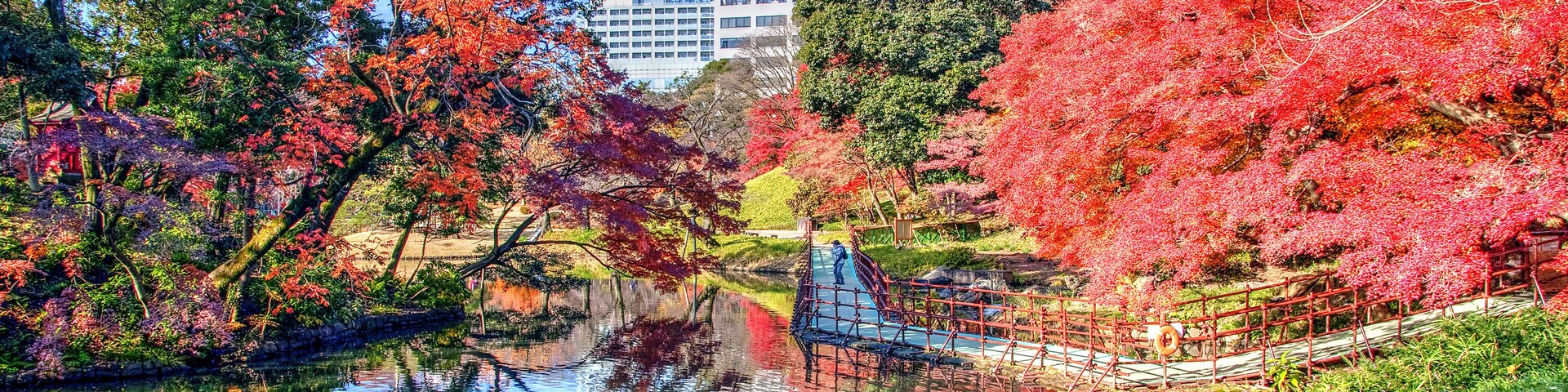 Autumn Colors in Koishikawa Korakuen Garden, Tokyo, Japan
