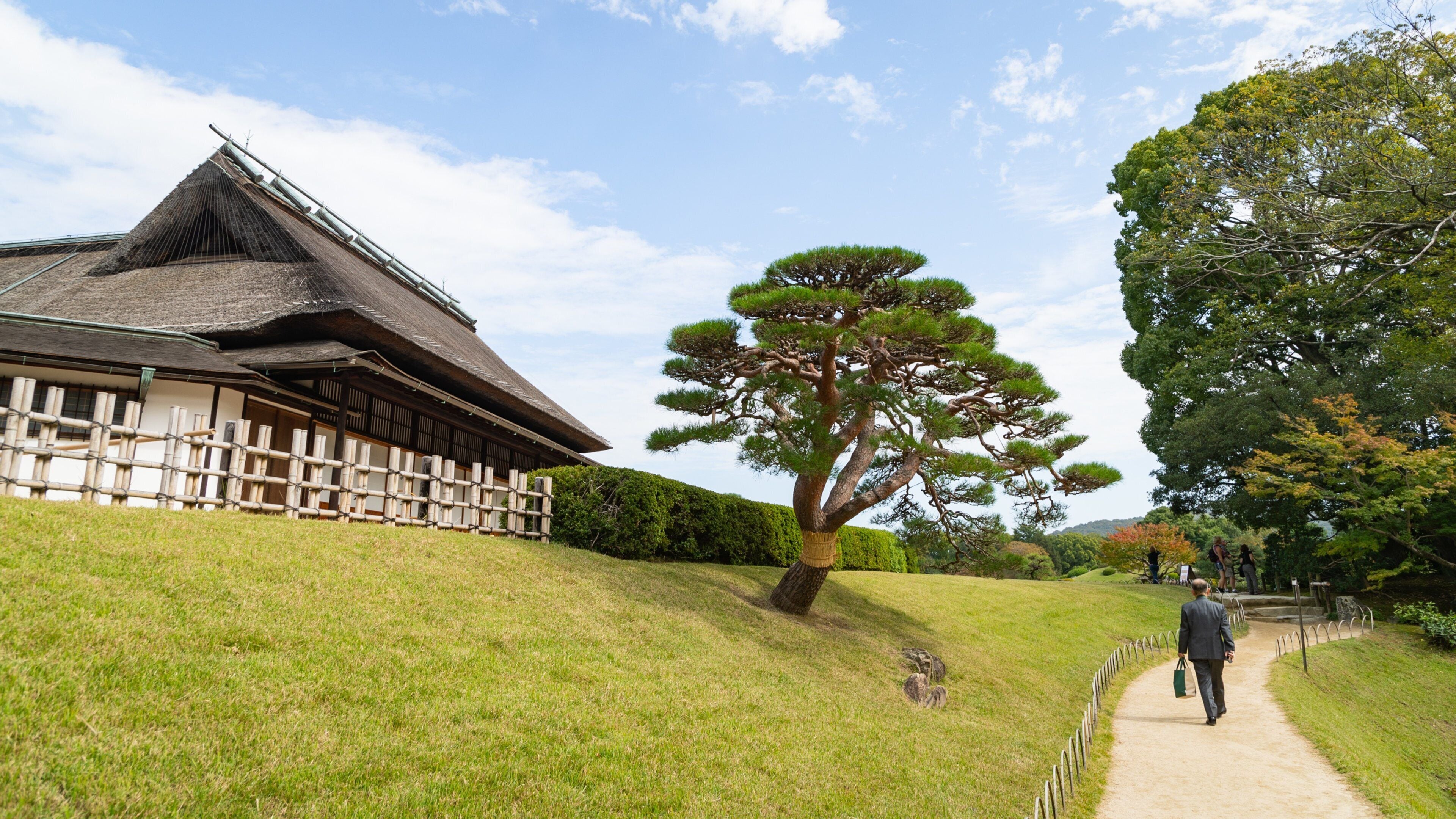 A traditional Japanese building with a sloped roof, a large pine tree in the foreground, and a pathway leading towards it.