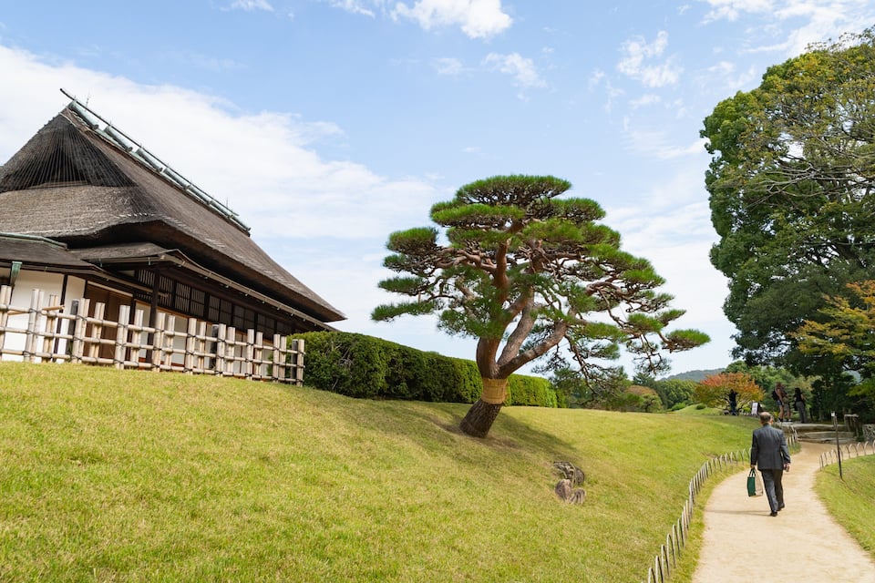 A traditional Japanese building with a sloped roof, a large pine tree in the foreground, and a pathway leading towards it.