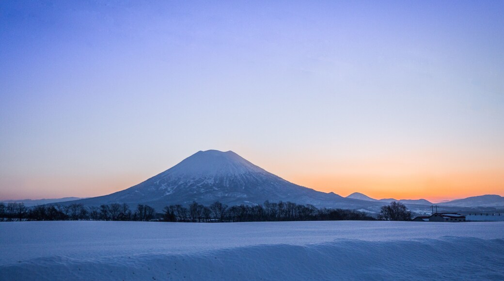 قرية نيسيكو