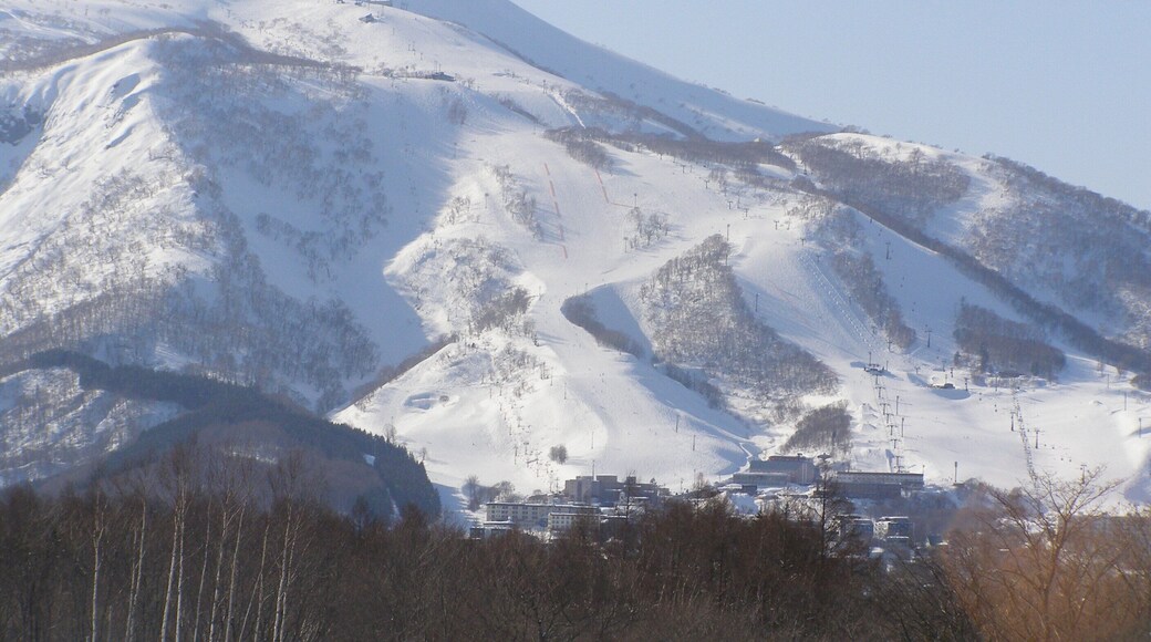 Niseko Mountain Resort Grand Hirafu