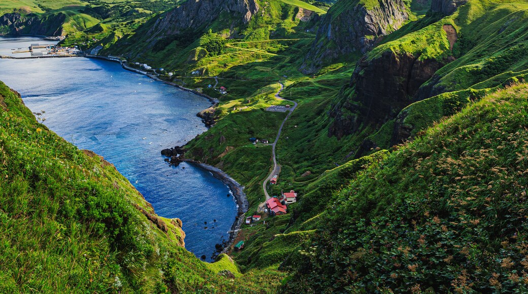 A coastal landscape with green hills, a winding road, and a body of water.