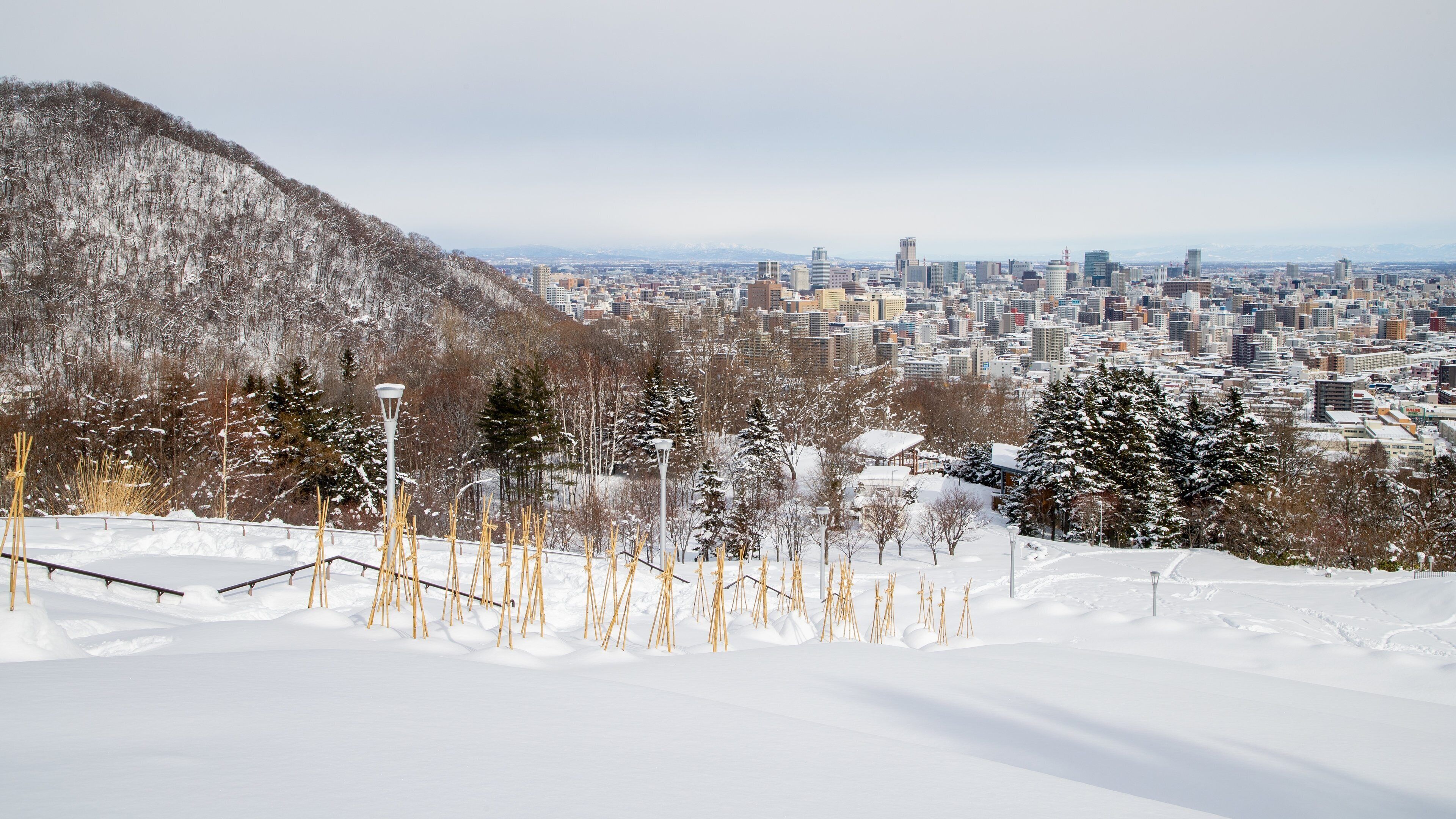 A snowy cityscape with a mountain in the background.