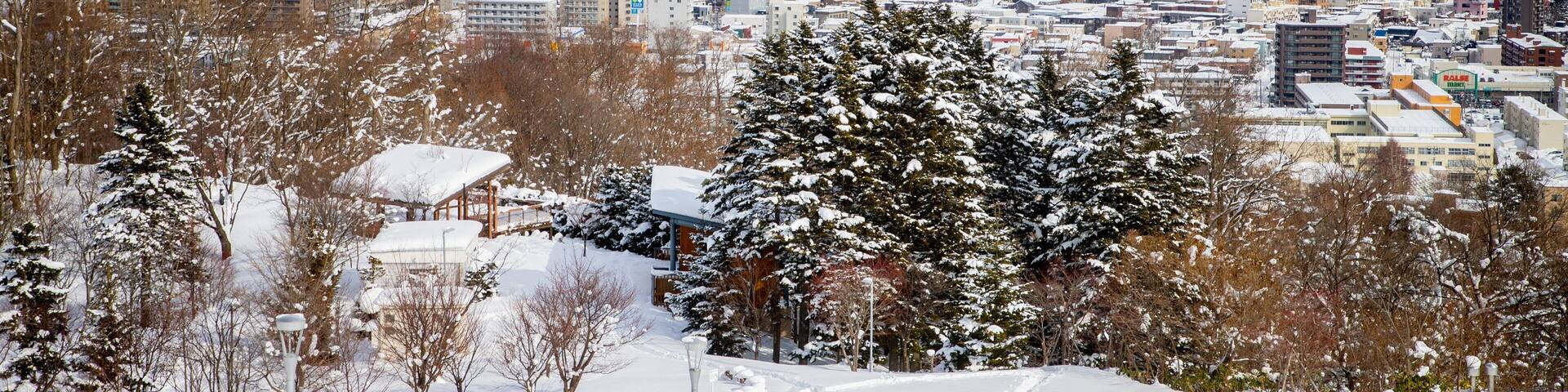 Asahiyama Park showing snow, landscape views and a city