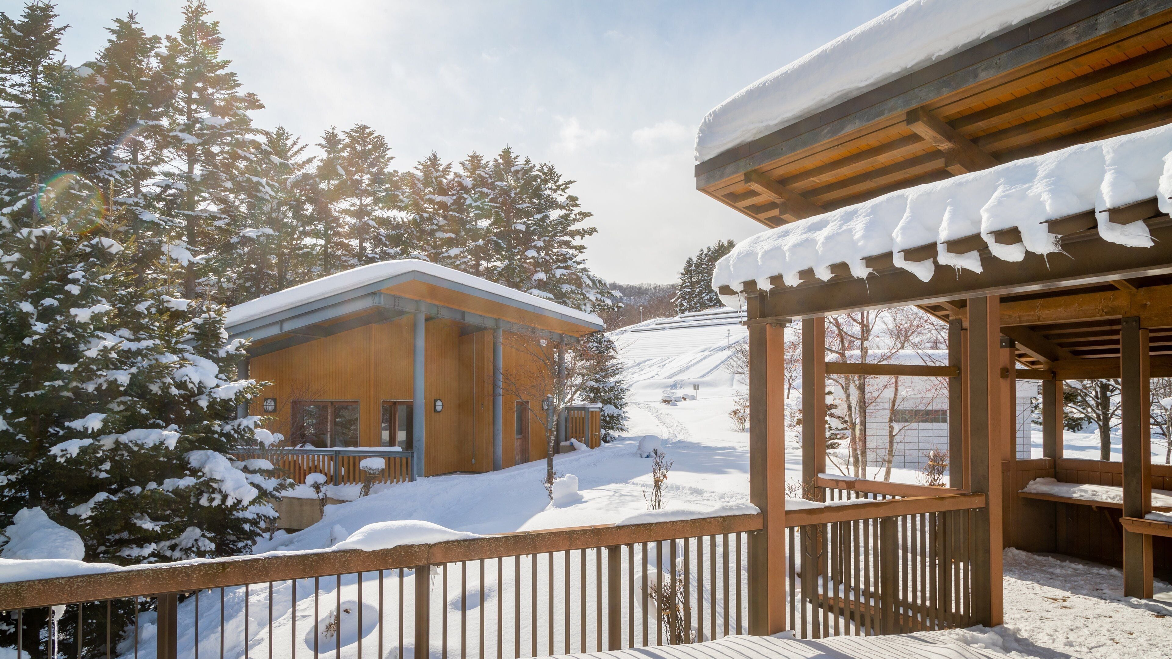 Asahiyama Park featuring a sunset and snow