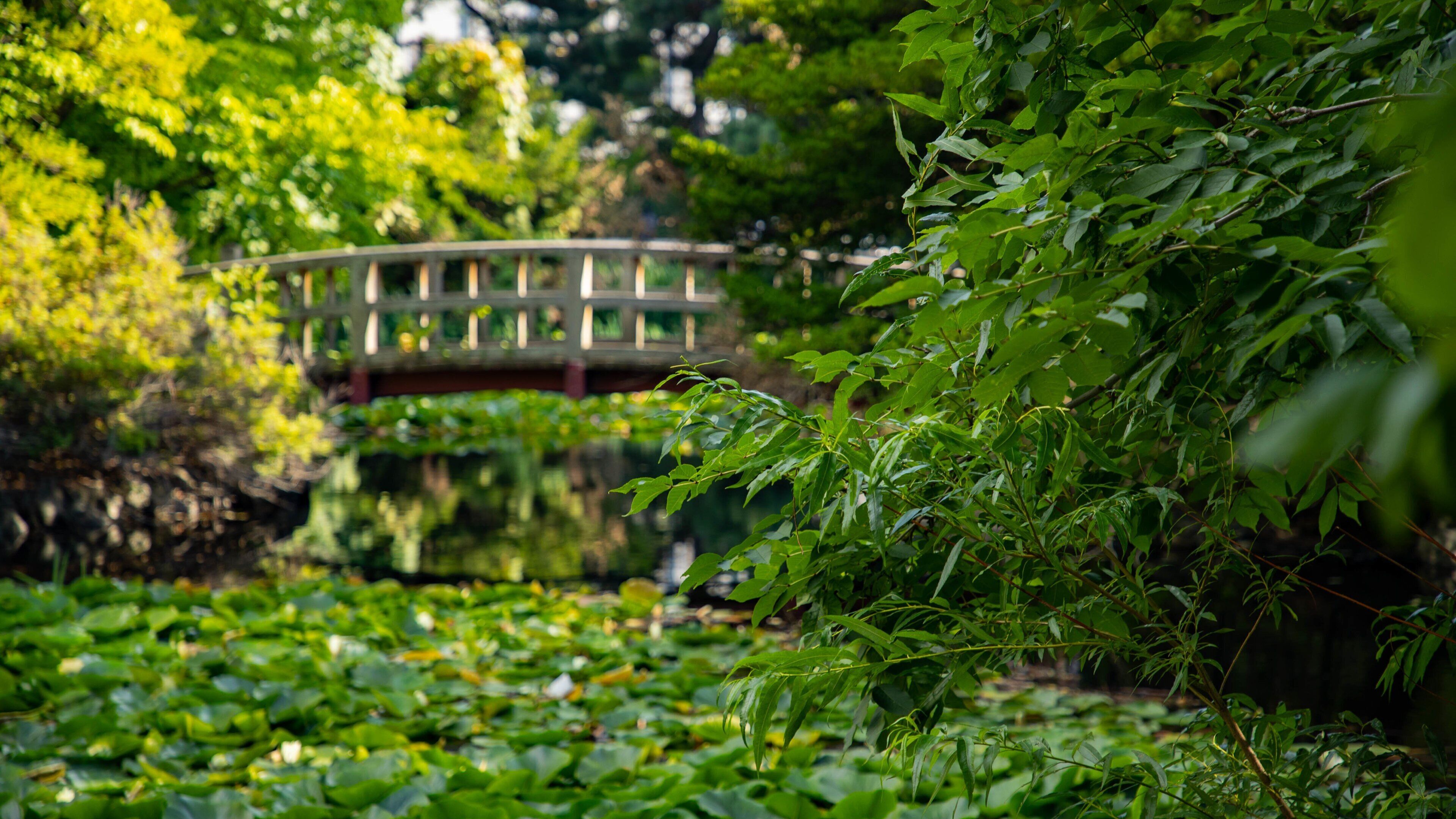 Former Hokkaido Government Office Building