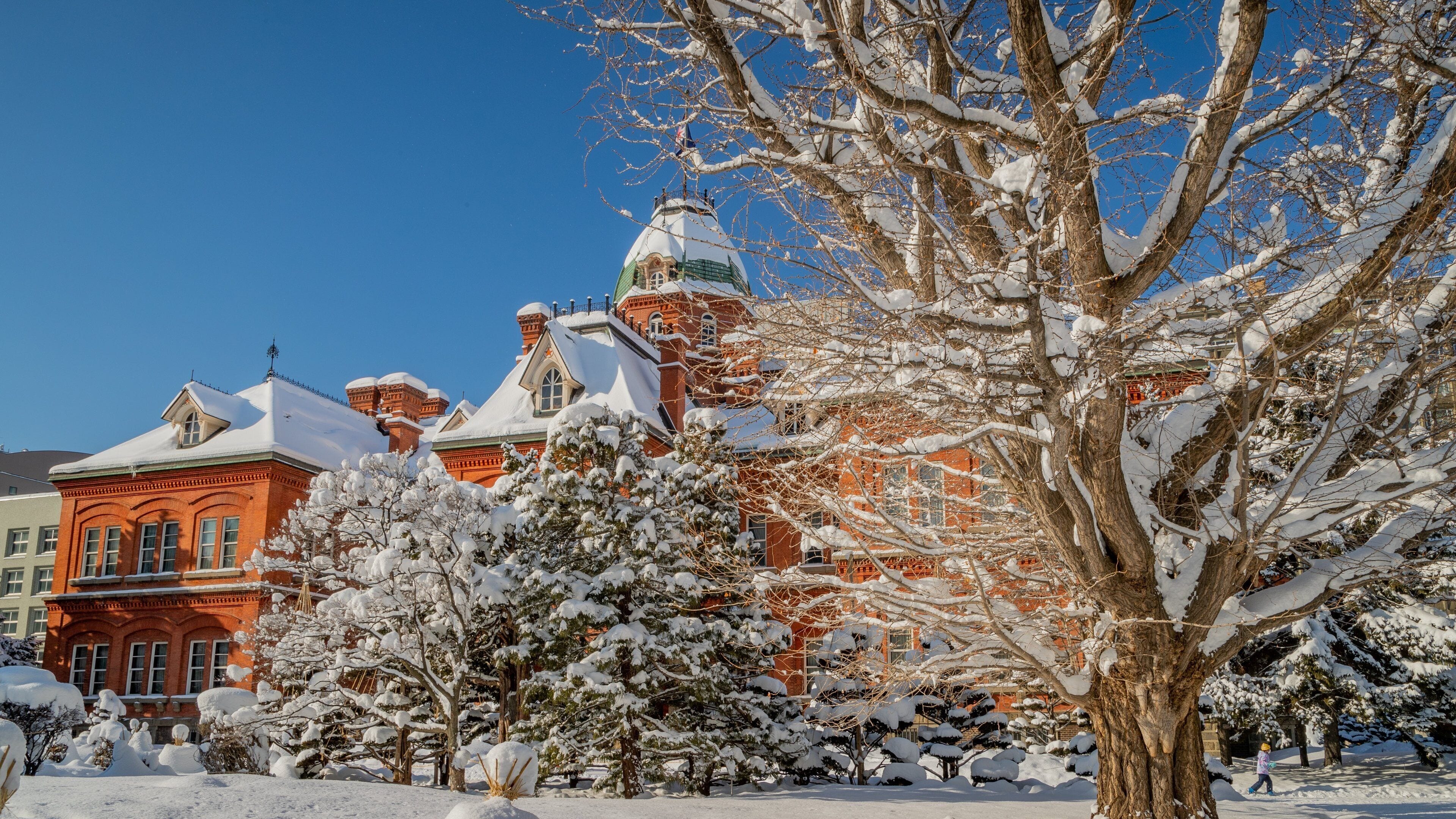 Former Hokkaido Government Office Building featuring snow and heritage architecture